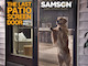 Samson - the last patio screen door you'll ever buy